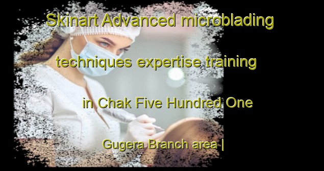Skinart Advanced microblading techniques expertise training in Chak Five Hundred One Gugera Branch area | MicrobladingTraining | MicrobladingClasses | SkinartTraining-Pakistan